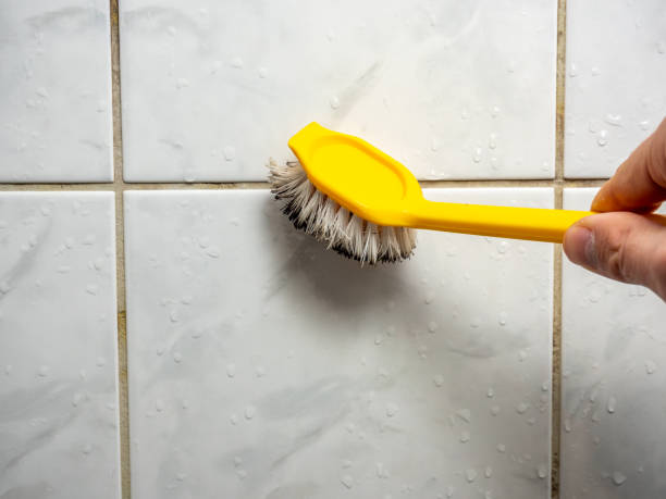 Best Toxic Mold Removal  in Inglewood, CA