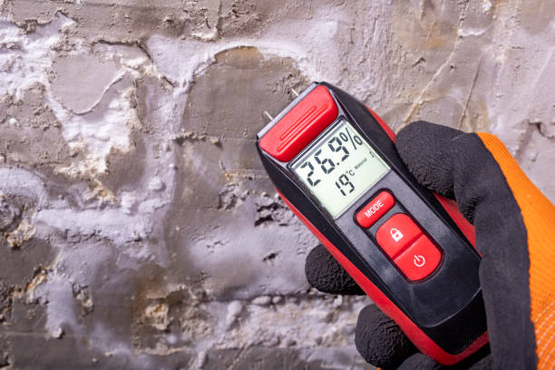 Best Mold Testing  in Inglewood, CA